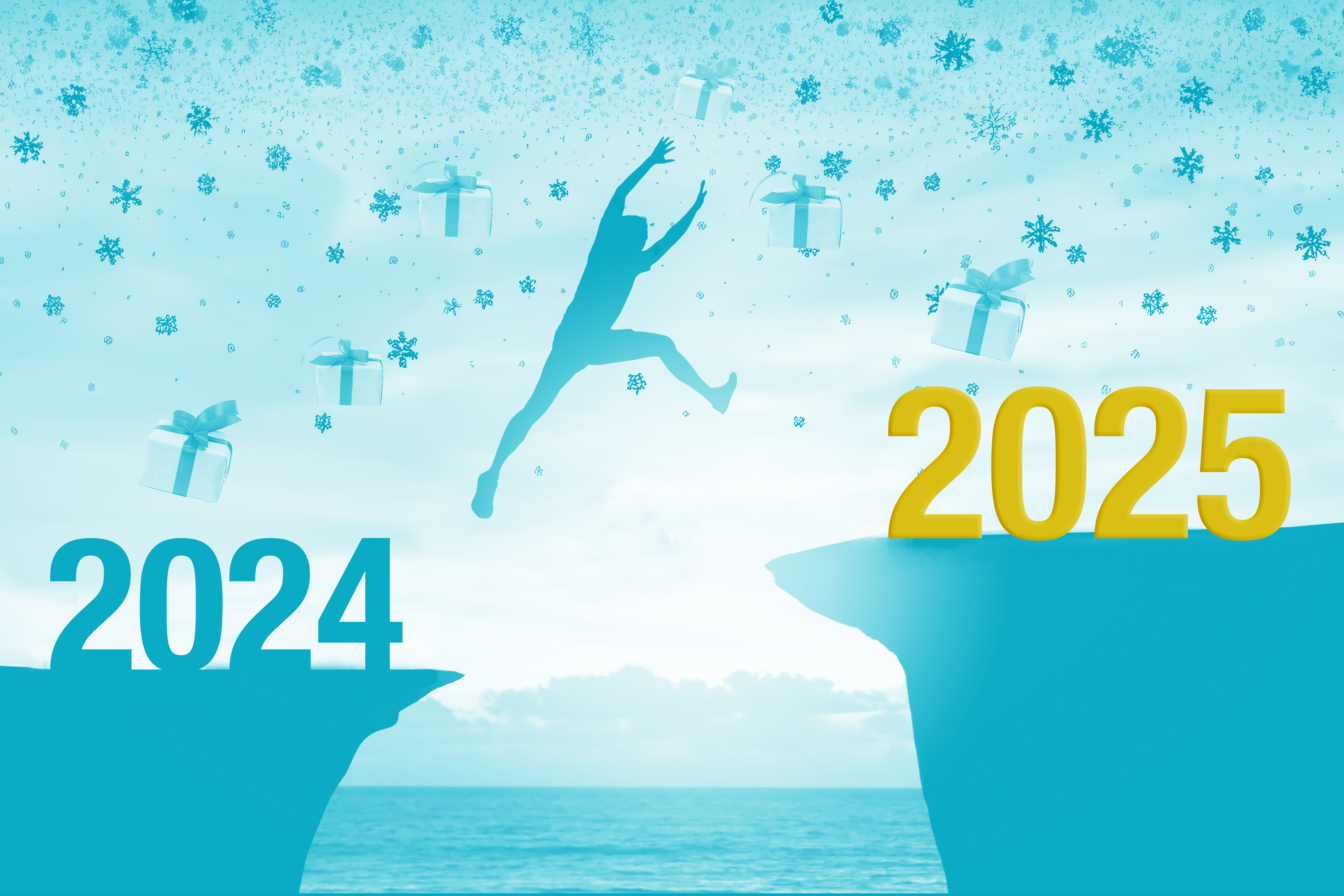 Meilleurs Voeux 2025 Dr Christophe CHAROUSSET