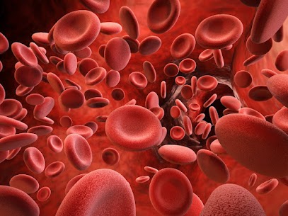 Les injections de Plasma Riche en Plaquettes (PRP) pratiquées par le Dr Christophe CHAROUSSET